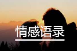 红塔市出轨调查：无效或者被撤销的婚姻，同居财产的处理